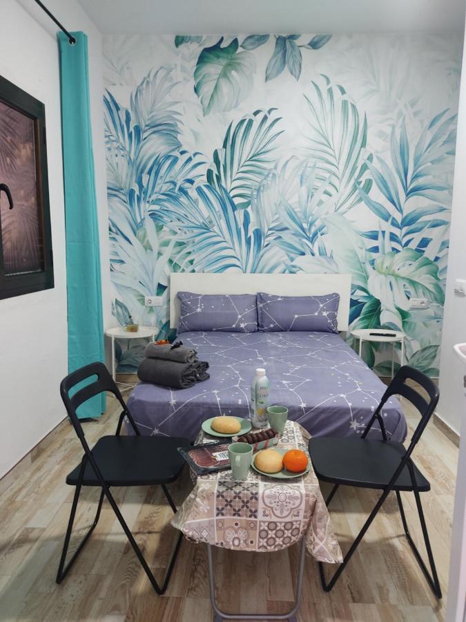 Cactus, Entrada Privada Y Bano Privado En By Flamingo House, No Fumadores Appartement