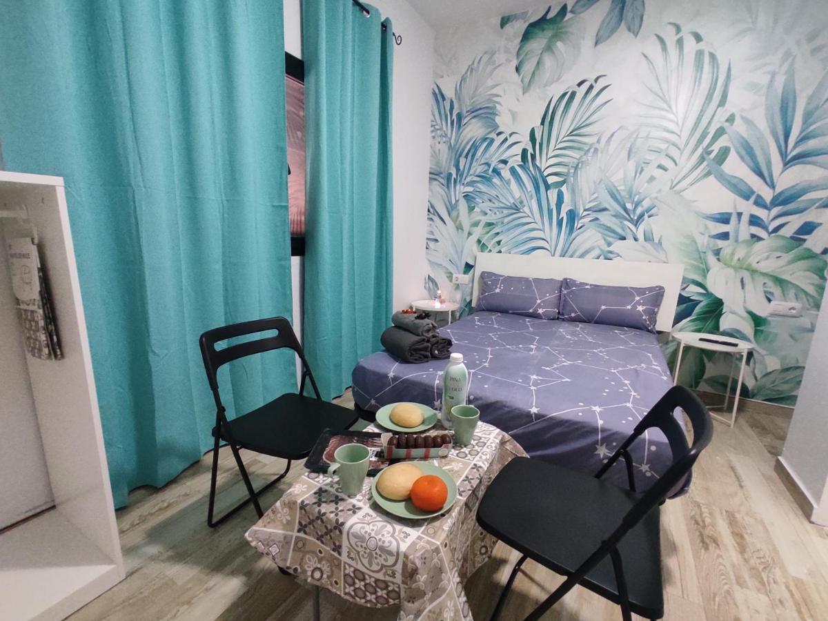 Appartement Cactus, Entrada Privada Y Bano Privado En By Flamingo House, No Fumadores